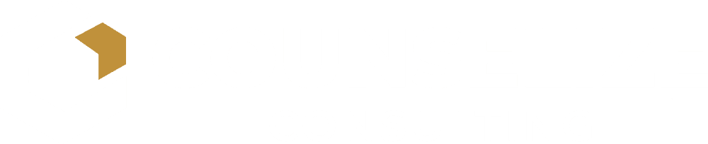 Counselize Consulting